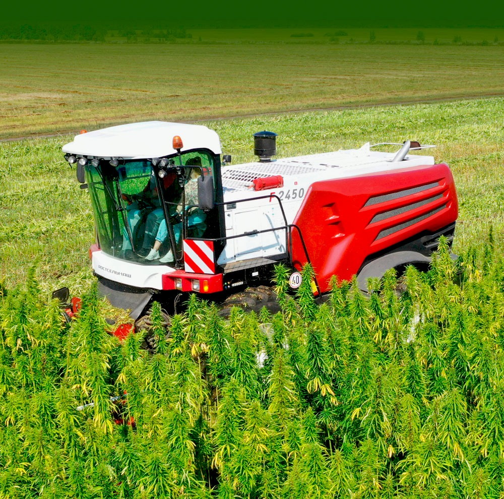 F 2450 HEMP